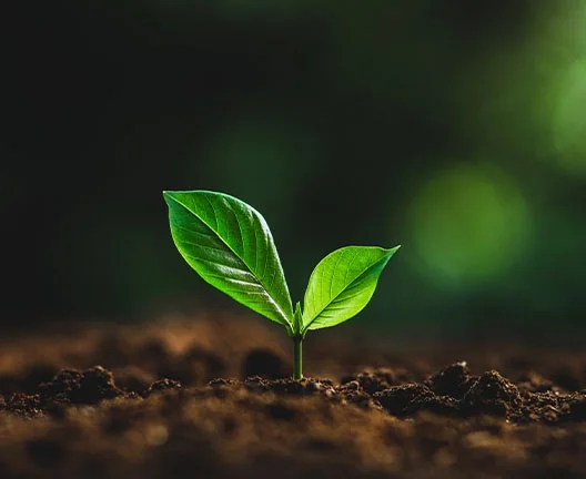 Our Investment Approach