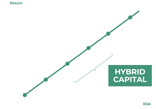 Hybrid Capital - Who we are Hybrid Capital - Who we are