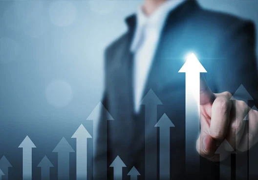 Hybrid Capital - Performance